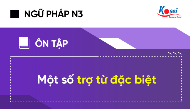 Ngữ pháp tiếng Nhật N3: Một số trợ từ đặc biệt